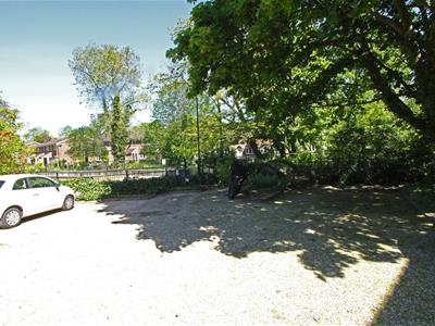 Picture 12